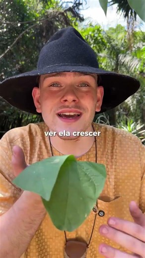 A ERVA QUE SABE QUEM QUER TEU MAL!