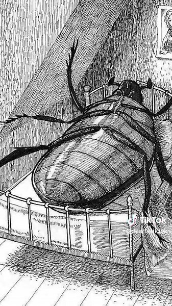 Resumen de La Metamorfosis de Franz Kafka