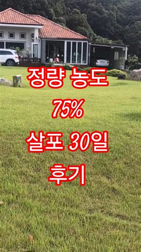 농도 75%살포 30일후기.