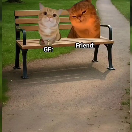 Trolling friend 😭😭