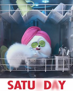 354K views · 10K reactions | Spent my week like… See...