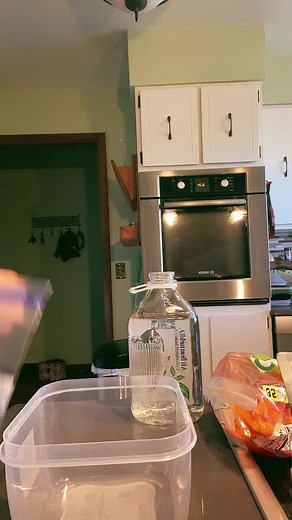 How to Make Delicious Horse Popsicles at Home