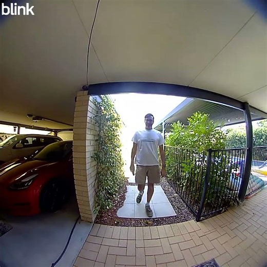 Blink Gen2 Doorbell Video Sample - Day