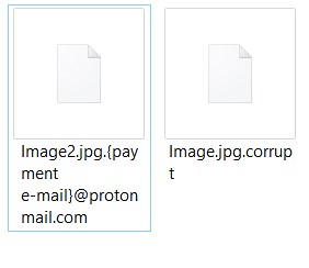 .破損したファイルウイルス - 暗号化されたドキュメントを削除して復元する方法