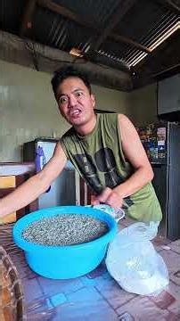 Duman, dudumen, deremen, inuruban, pinipig