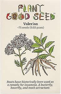 Plant Good Seed Organic Valerian Root Seeds for Planting, Perennial Herb, 75 Seed Packet