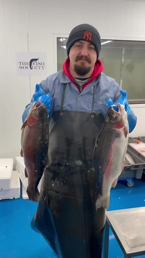 Rainbow Trout Filleting ASMR Video