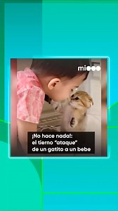 😅¿Ataca o da cariño? | Telefe Rosario