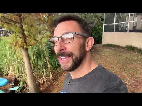 Dymesty AI Glasses - Powerful AI Recording & Summaries· Super Lightweight & Comfortable Fit