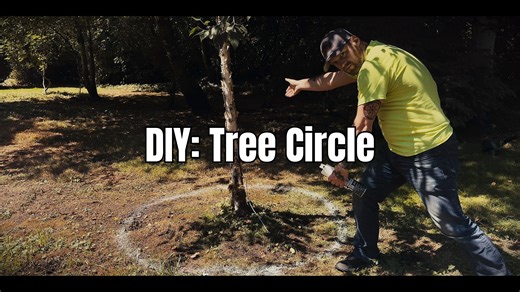 Transform your garden with this easy and budget-friendly DIY tree...