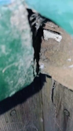 Wood Bee damage repair with Abatron wood epox #woodrestoration | Pete Griffin