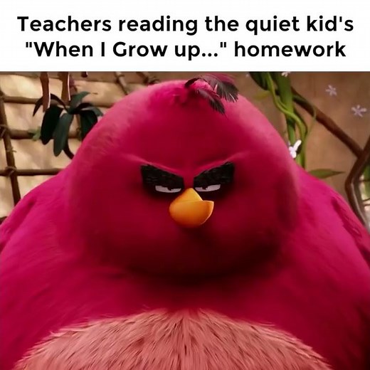Angry Birds Terrence meme