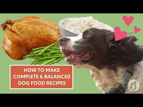 How to Make a Balanced Homemade Dog Food Recipe for FREE!