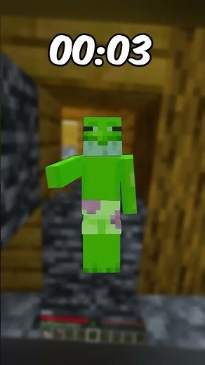 Minecraft Timer #minecraft