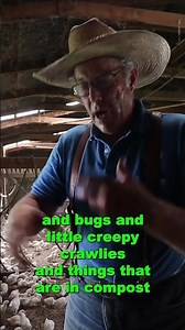 Biggest Mistake Homesteaders Make when building a chicken brooder with Joel Salatin Polyface