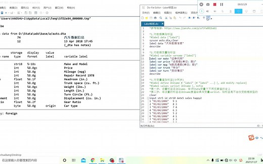 Stata基础：数据集/变量/变量值标签(lable函数)-附程序笔记