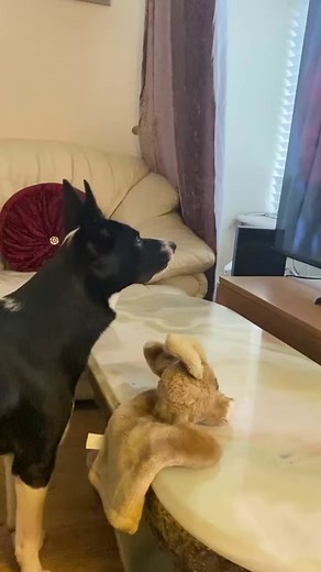 Barney wants to warn the boys there’s danger | Stephen Kelleher