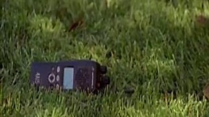 17 Mega Python vs. Gatoroid (2011)