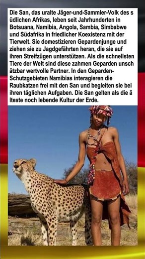 Das Volk der San: Auf der Jagd mit zahmen Geparden