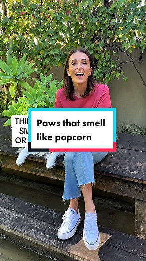 Why Do Dogs' Feet Smell Like Popcorn? Understanding the Bacteria and Yeast on Dog Paws