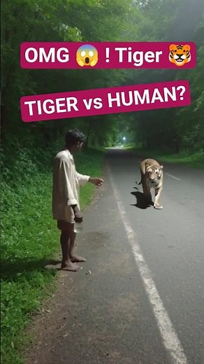 Tiger Shocked by Man’s Silly Moves 😂🔥 Part 03