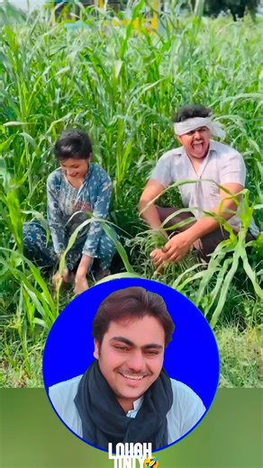 Funny Moments That Will Brighten Your Day