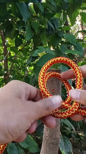 Double Loop Knot Setup Tutorial#rope #trailers #gtknot #knotting #ropeknots #trendingshorts #viral