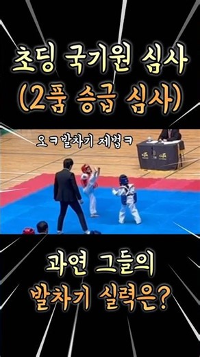 초딩 언니의 발차기 실력