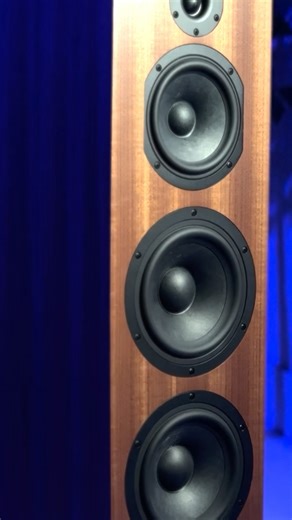 Which Amplifier Makes This Speaker Sound AMAZING?