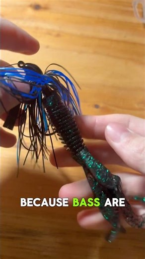 Spring bass season is almost here… #bassfishing #fishinglures #followformore #shorts