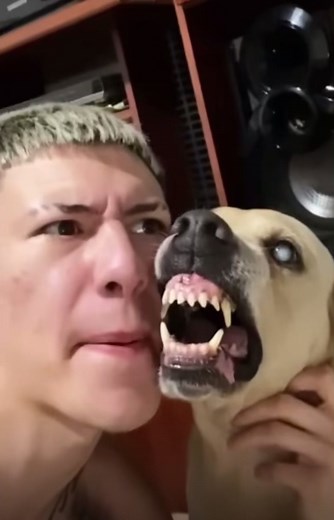Beatboxing with Dog Compilation: Funny and Entertaining Videos