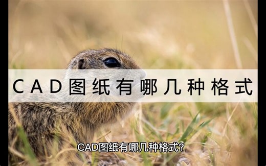 CAD图纸有哪几种格式？点击进来了解下