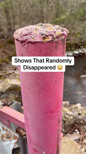 Shows From Our Childhood That Randomly Disappeared