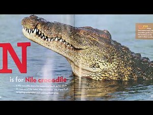 African Animal Alphabet by Beverly and Derreck Joubert