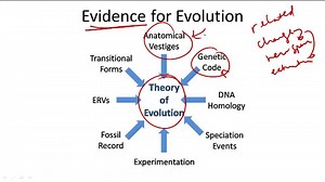 Evidence for Evolution - Overview ( Video ) | Biology