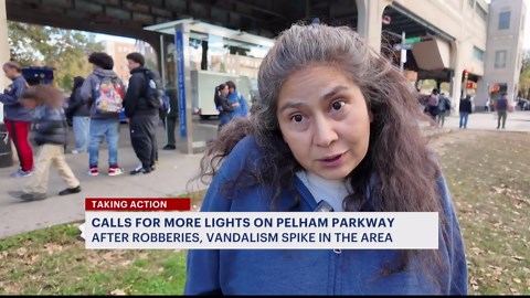 Calls grow for more lights near Bx39 Bus shelter on Pelham Parkway
