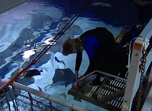 5.2K views | Tennessee aquarium - educational documentary for children © Learn Video For Kids | For The Love of Fish | Facebook