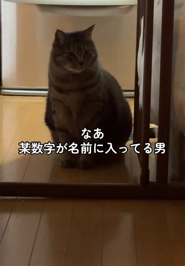 某数字が名前に入ってる相互兼友達にフォロー外された話。 理由も分からないまま縁切られるなんて新年ついてねえ…。