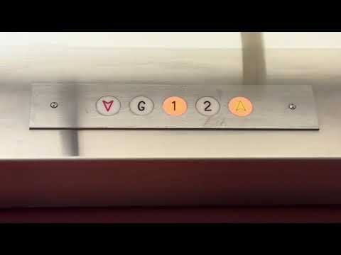 Park Avenue Elementary School Elevator Showcase