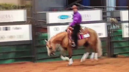 Platinum Vintage 💪💪💪 AQHA World Championship Show. Sr Reining Finals! | Andrea Fappani