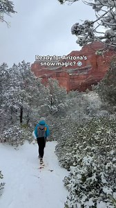 81K views · 2.3K reactions | Snow in Arizona always feels extra magical ❄️✨ With a chance of snow in northern Arizona in the next couple of days, here are some of my favorite winter moments to get us ready. ❄️ #arizona #snow #explorearizona | Selma_explores | Facebook