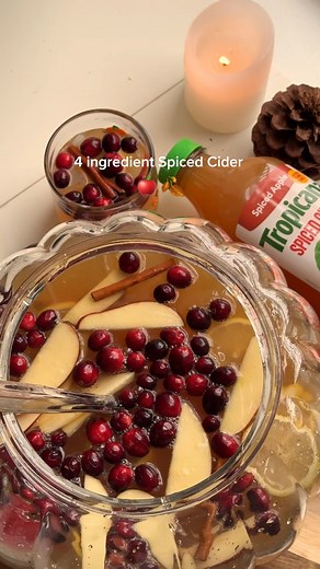 things i’m thankful for: this punch 🦃🧡 Tropicana Spiced Cider ginger ale lemon juice dash of vanilla extract | Tropicana