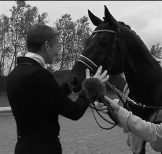 Edward Gal y Totilas: Un Dueto Inigualable en Dressage