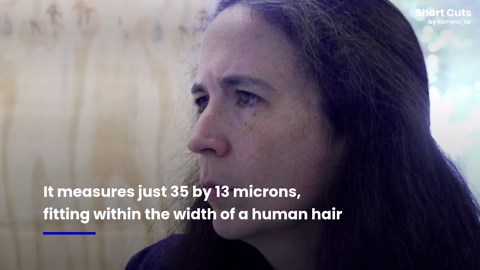 Physicists create 'world's smallest violin' that fits inside a human hair