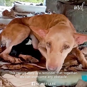 3.9M views · 185K reactions | Online Sofa center on Reels | Facebook