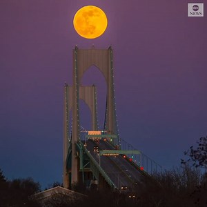 894K views · 15K reactions | SUPER SIGHT: Mesmerizing timelapse footage captures supermoon rising over Rhode Island’s Newport Bridge. https://abcn.ws/2Mp6pHp | ABC News | Facebook