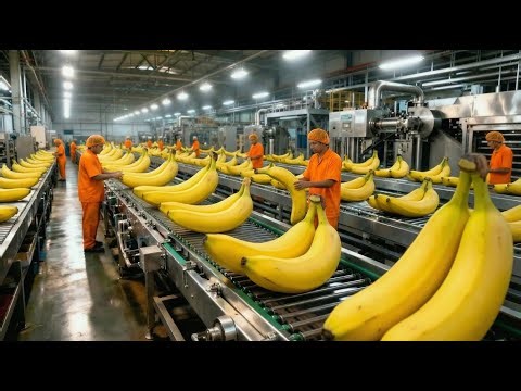 Inside a Modern Banana Pudding Factory: From Fresh Bananas to Creamy Desserts (Full Process)