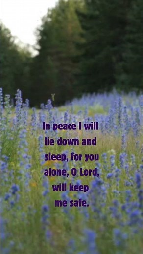 Psalm 4:7–8 (NLT) | Peaceful Sleep & Joy in the Lord ✨ Scripture Short