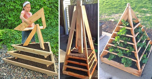 These DIY Pyramid Planters Lets You Grow Strawberries In The Coolest Way Possible