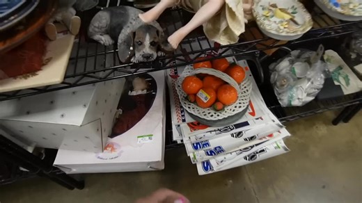 I'm surprised that's not broken! #Goodwill #thrifting #thrift | Crazy Lamp Lady